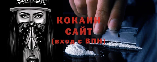 индика Балахна