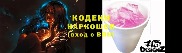 индика Балахна