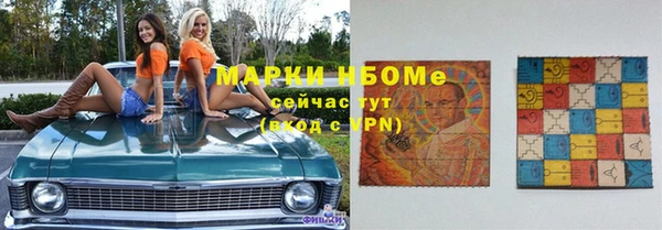 индика Балахна