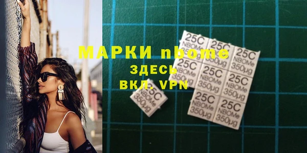 индика Балахна