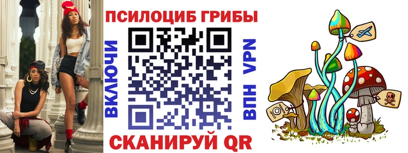 Галлюциногенные грибы мицелий  купить наркоту  Ливны 